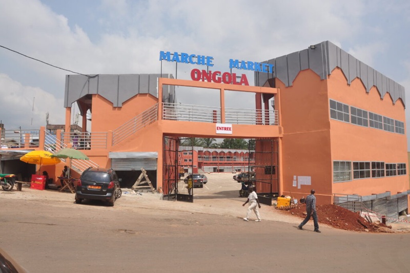 DSC_0350-1024×680 1